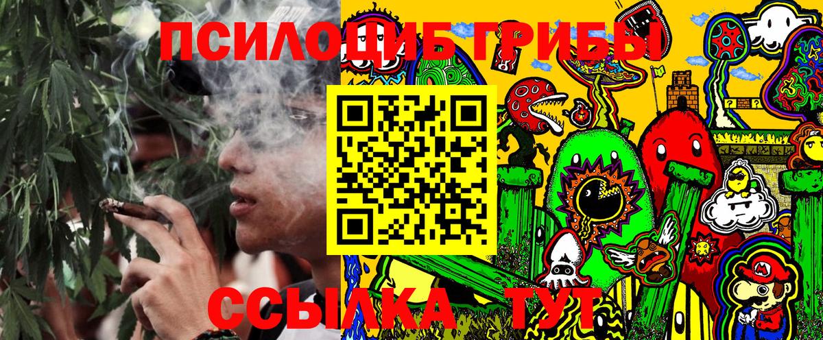 Псилоцибиновые грибы Psilocybe  Вход с VPN  Лиски 
