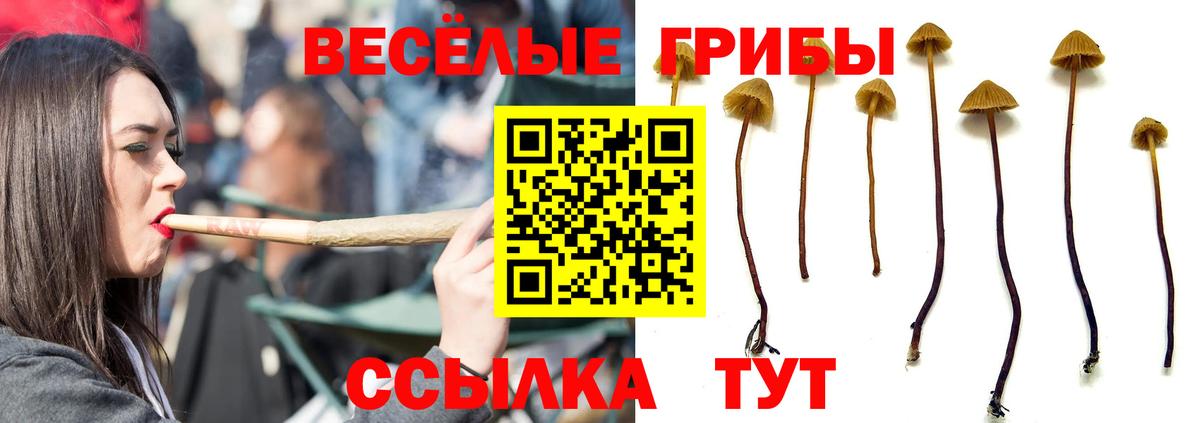 Псилоцибиновые грибы мицелий Лиски